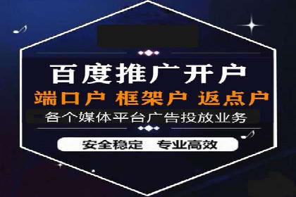 行业领先的SEM优化案例：提升品牌曝光率